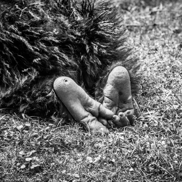 Black and white 12 Baby Gorilla Feet Volcanoes National Park 5616 x 3744