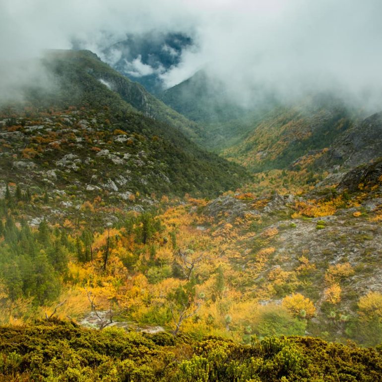 Fury Gorge View Cradle Mountain Lake St Clair NP 5616 x 3744 2