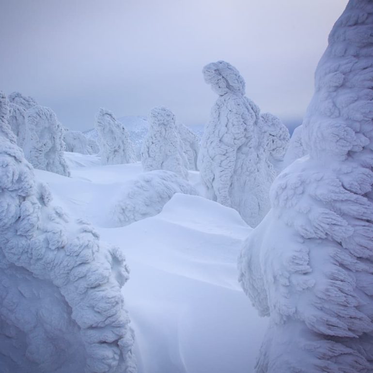 Trees 4 Ghostly juhyo Hakkoda 5616 x 3744