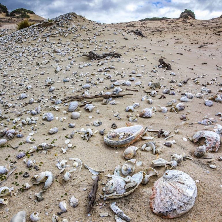 Midden Vista Port Davey South West NP 2784 x 1856 1