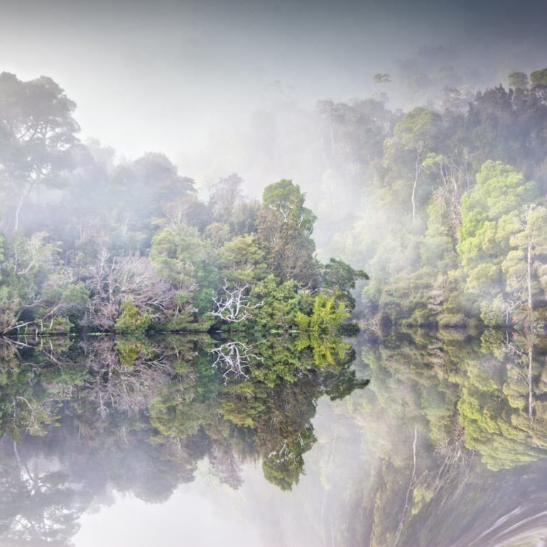 Pieman River Reflections Tarkine 5616 x 3744 2