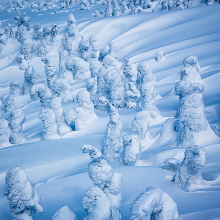 Trees 6 Snow monsters Hakkoda 5616 x 3744